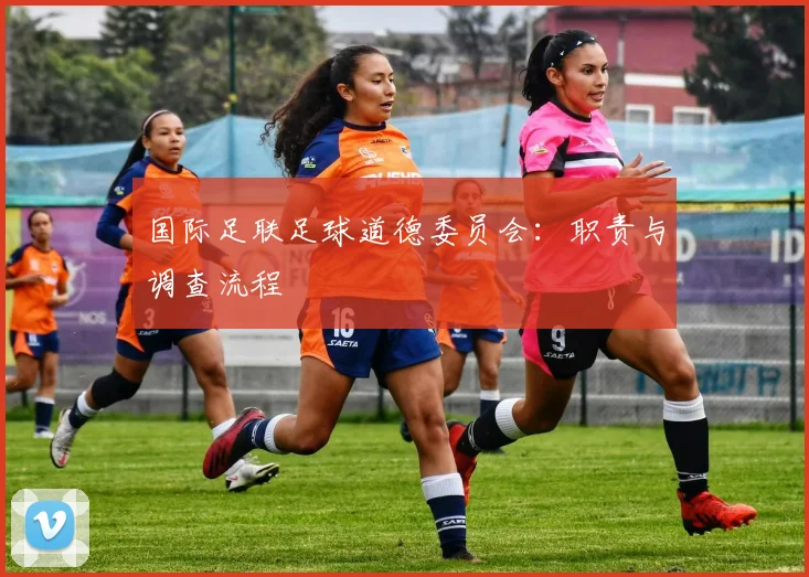 国际足联足球道德委员会：职责与调查流程